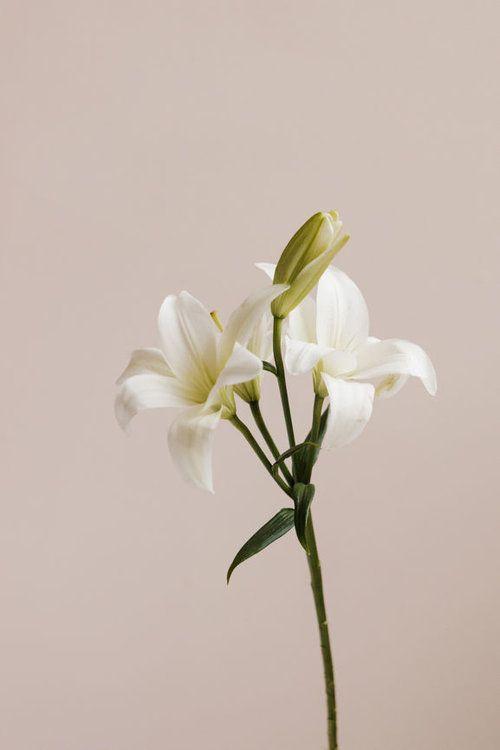 Rustic Charm Woodland Blossoms Bunch